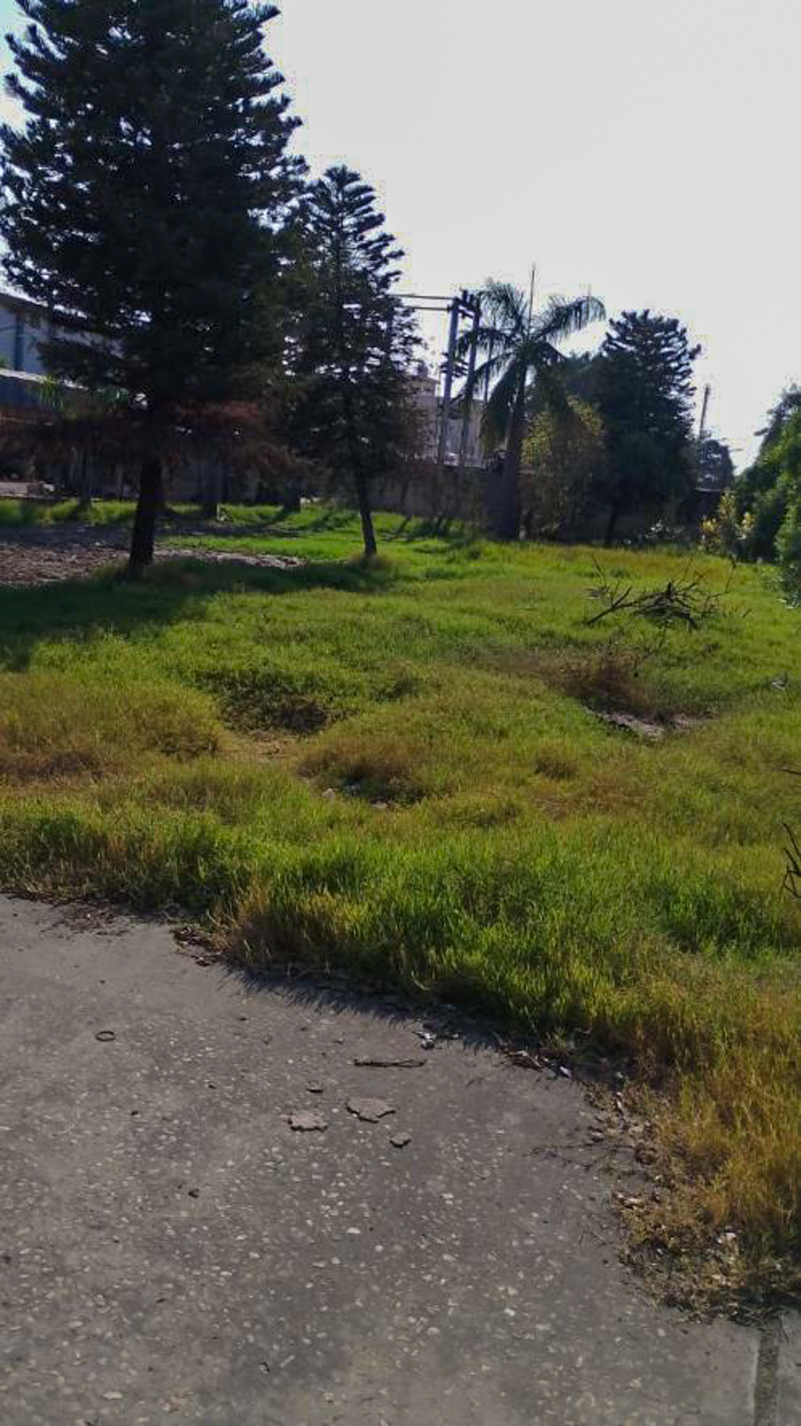 Plant and Machinery for Sale in Samba, Jammu, Samba