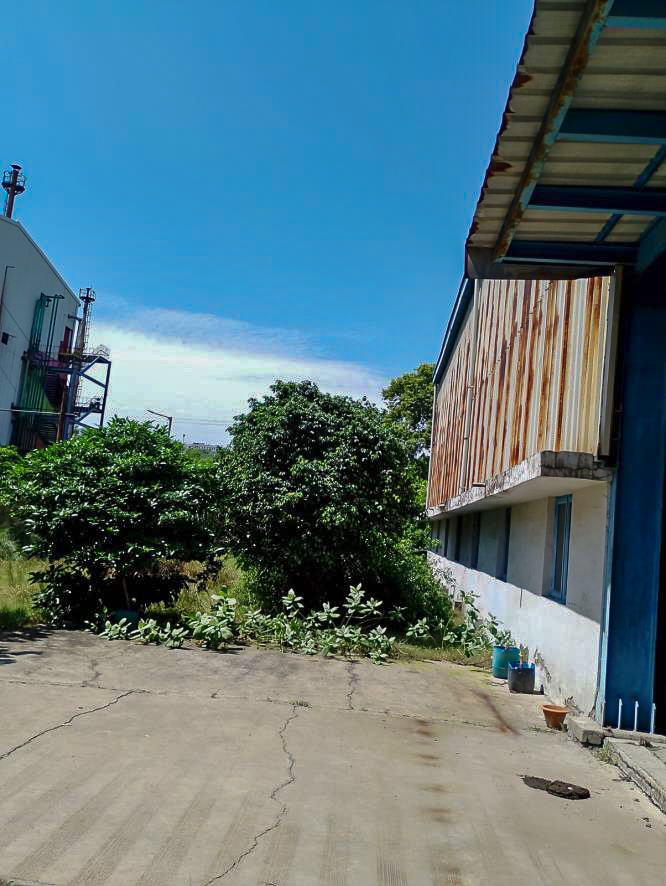 Shed with Plant and Machinery for Sale in Samba