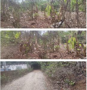 Plot for Sale in Udupi