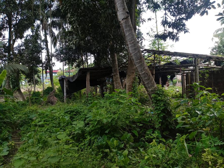 Individual House for Sale in Badkulla