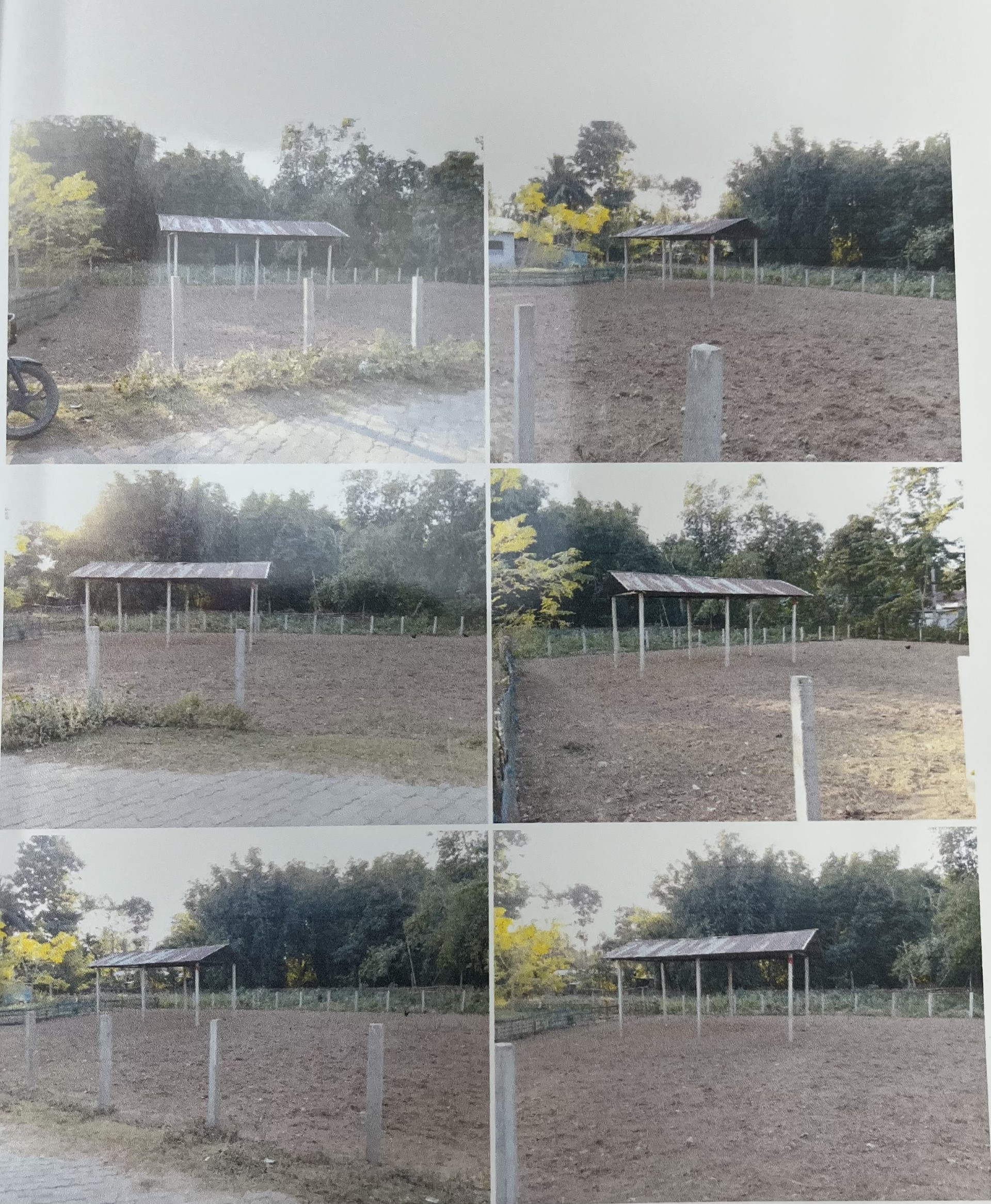 Plot for Sale in NA, Village- Bhirgaon, Biswanath Chariali