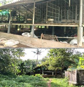 Industrial Shed for Sale in Koratty