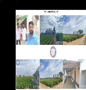 Agriculture Land for Sale in Chinnakkampalayam