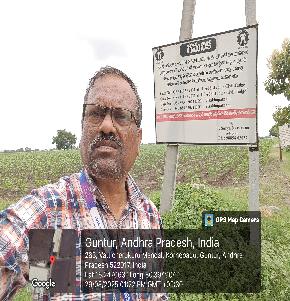 Plot for Sale in Kornepadu Village, Vijaya Maruthi TMC (Pulladigunta to Kornepadu Road) Vatticherukuru Mandal, Guntur