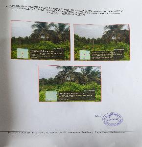 Plot for Sale in puri, Birapratappur