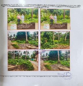Plot for Sale in PURI, Birapratappur