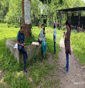 Plot for Sale in Champa