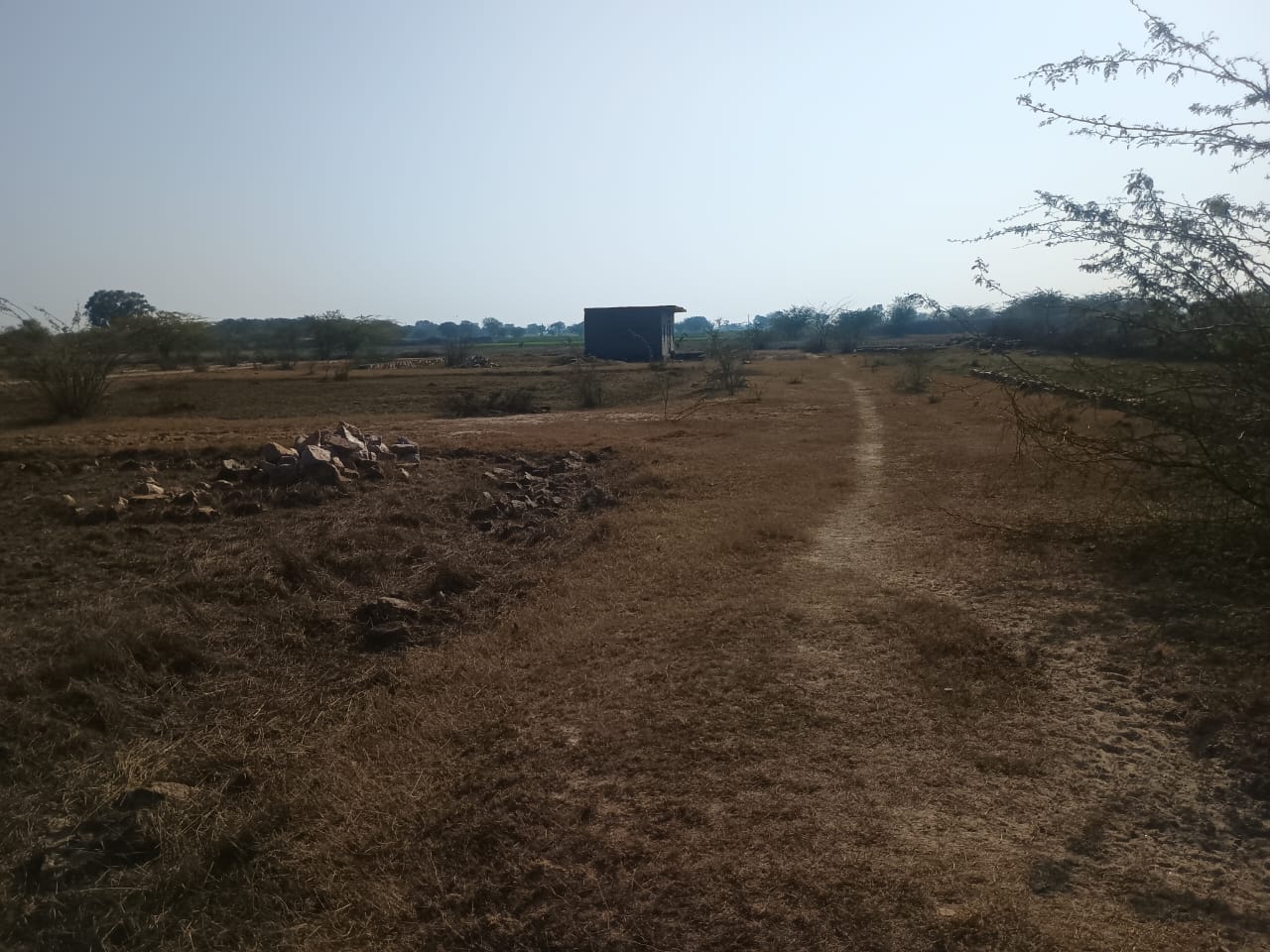 100Sq.Yard Residential plot located in Renewal Majhi area