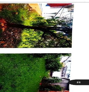 Plot for Sale in Aurangabad