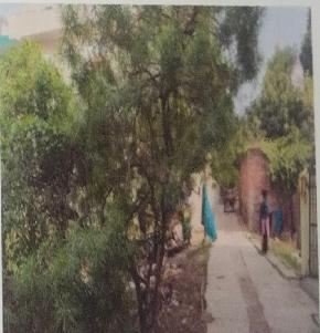Plot for Sale in Sasaram