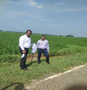 Plot for Sale in SARIYAON, Nokha