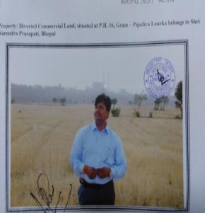 DIVERTED LAND for Sale in Raisen