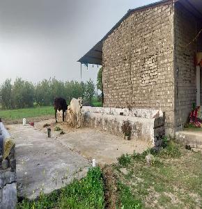 Agriculture Land for Sale in VIDISHA, Industrial Area Jambar