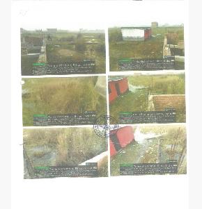 Plot for Sale in Kumarbagh