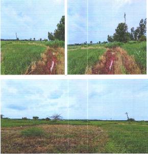 Vacant Plot for Sale in Eluru