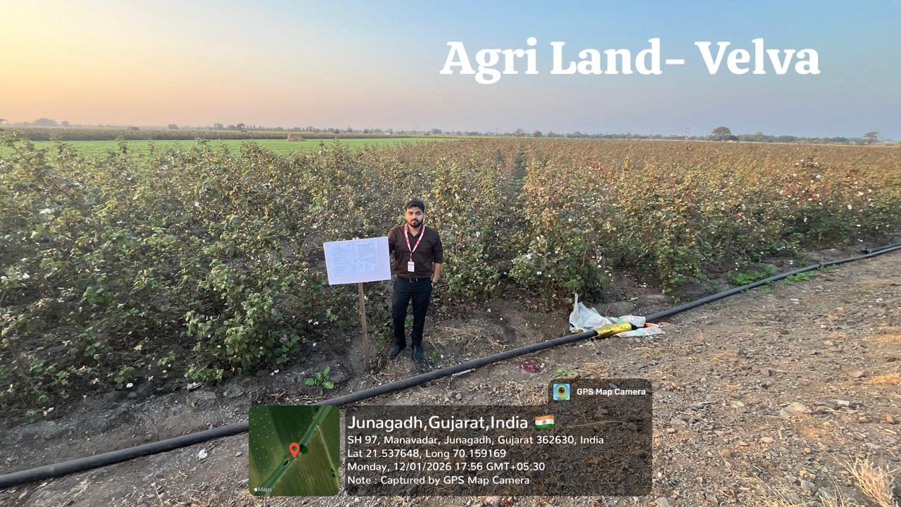 Agriculture Land for Sale in Velva, Ta. Manavadar, Kodinar