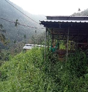 Plot for Sale in Kunnummal