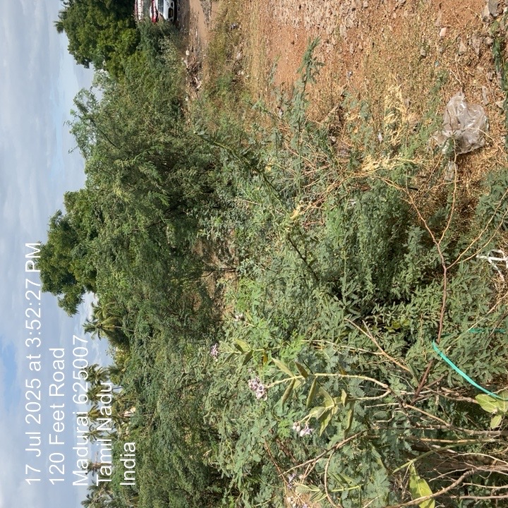 Plot for Sale in Madurai
