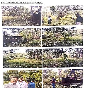 Agriculture Land for Sale in Habra