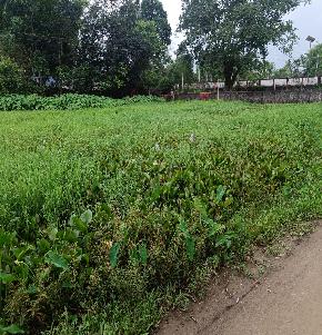 VACANT LAND for Sale in Moranhat