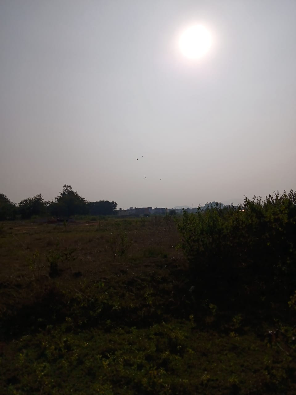 ) Plot for Sale in KANISI BERHAMPUR, Berhampur