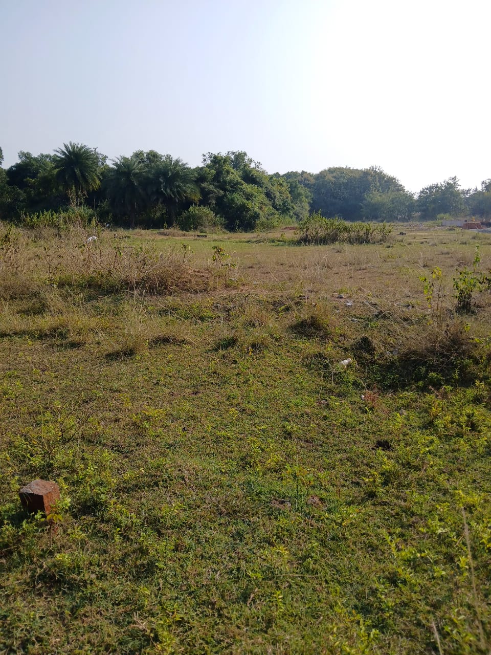 ) Plot for Sale in KANISI BERHAMPUR, Berhampur