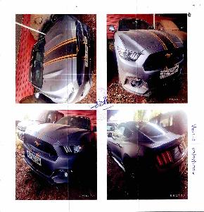 Mustang S 550 for Sale in NA, Thrissur