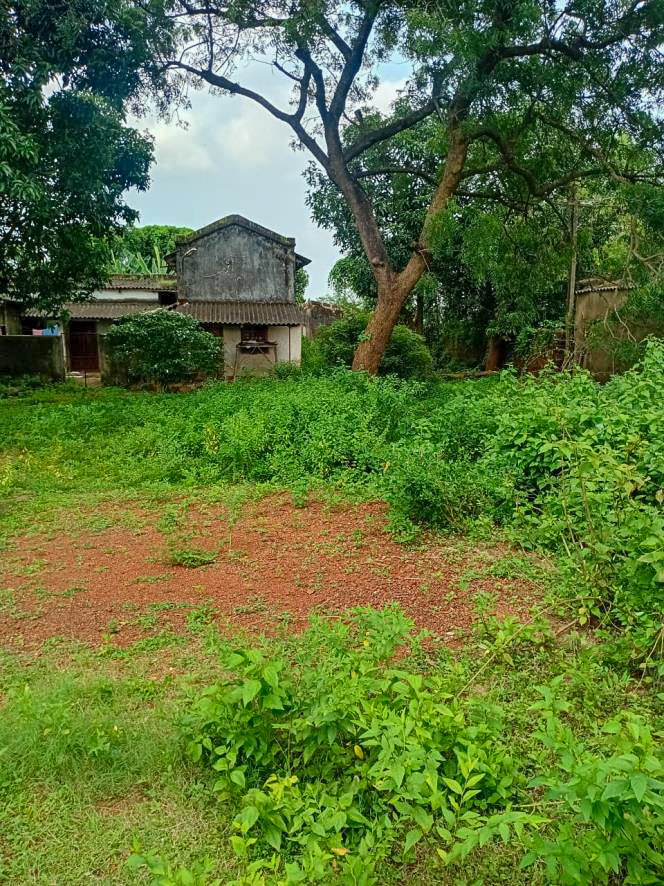 Individual House for Sale in BANIPADA, Cuttack