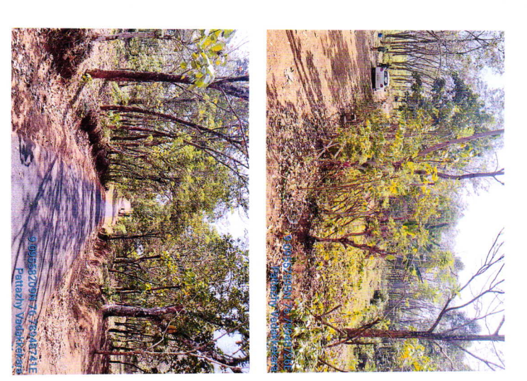 LAND for Sale in Kollam