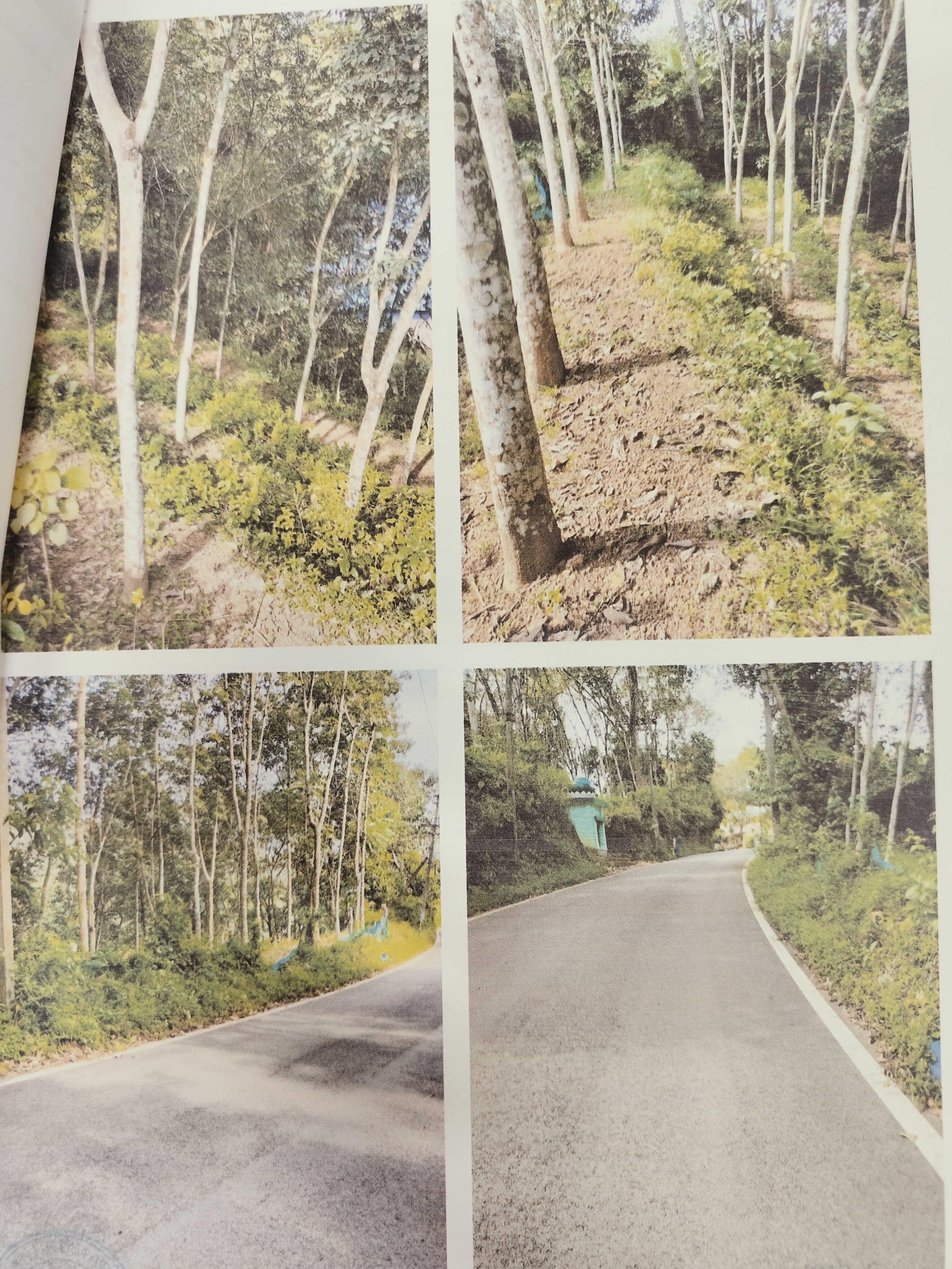 LAND for Sale in Pathanamthitta