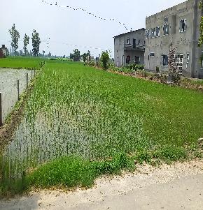 Plot for Sale in Amritsar