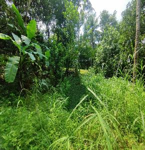 Plot for Sale in Malappuram