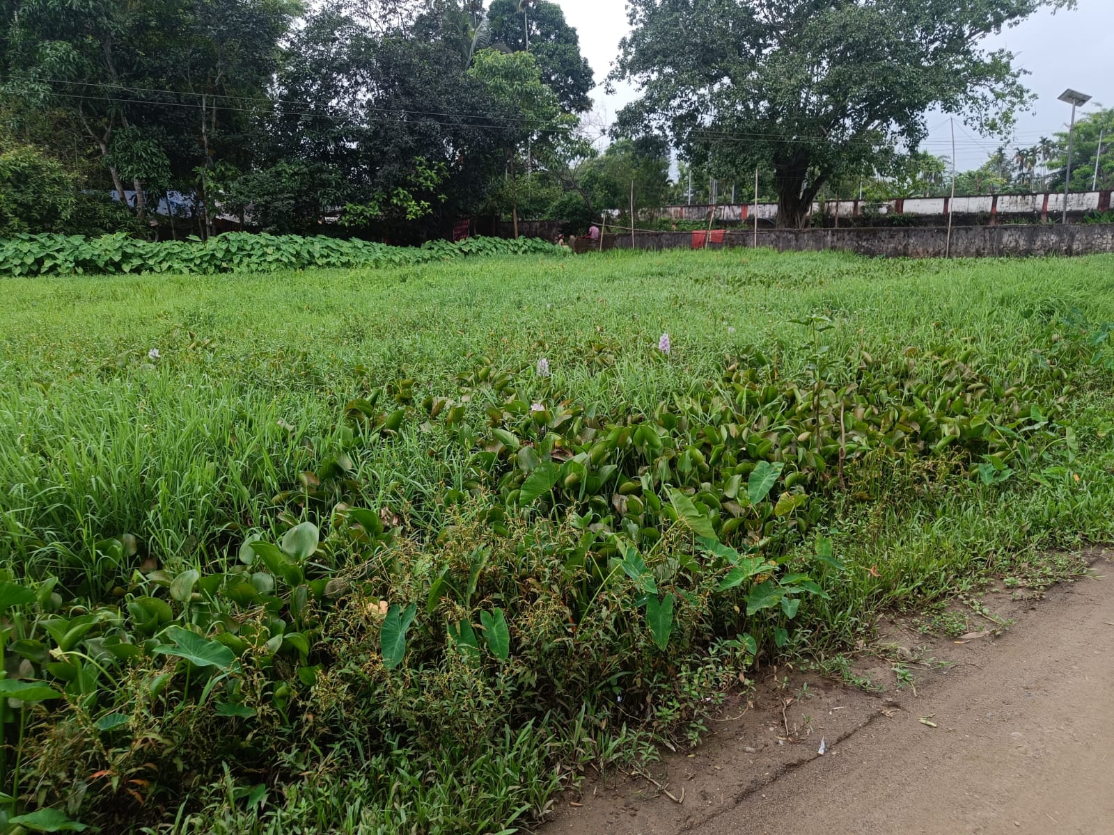 VACANT LAND for Sale in Moranhat