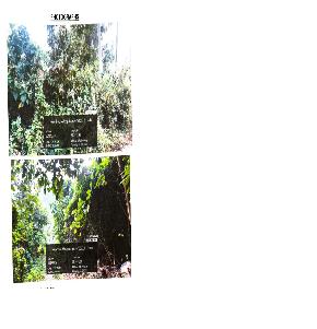 Plot for Sale in PERINTHALMANNA, Perinthalmann