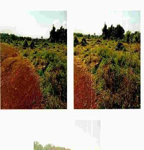 Individual House for Sale in Ernad, Kizhuparambu, Kizhuparamba