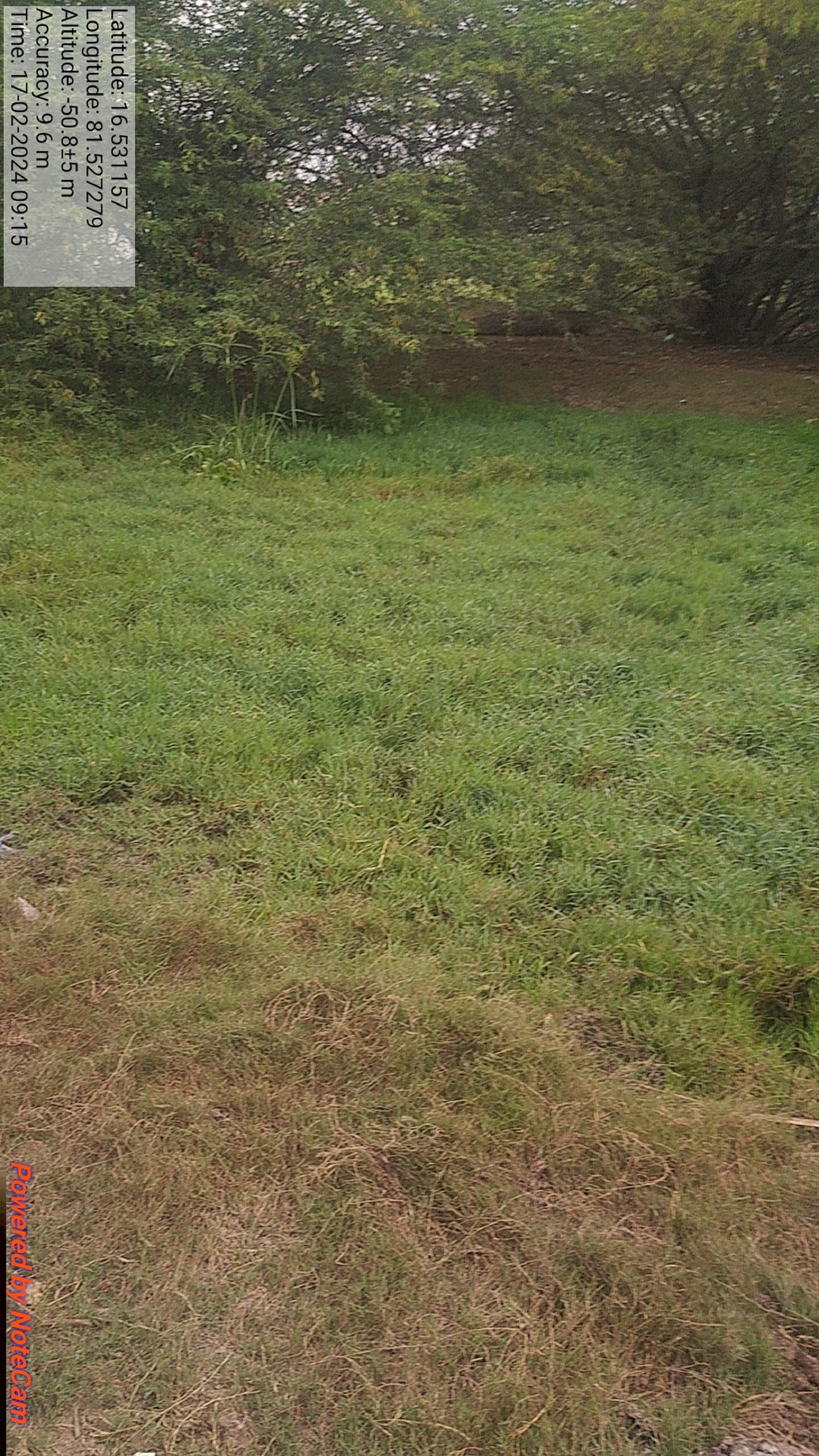 Plot for Sale in Bhimavaram