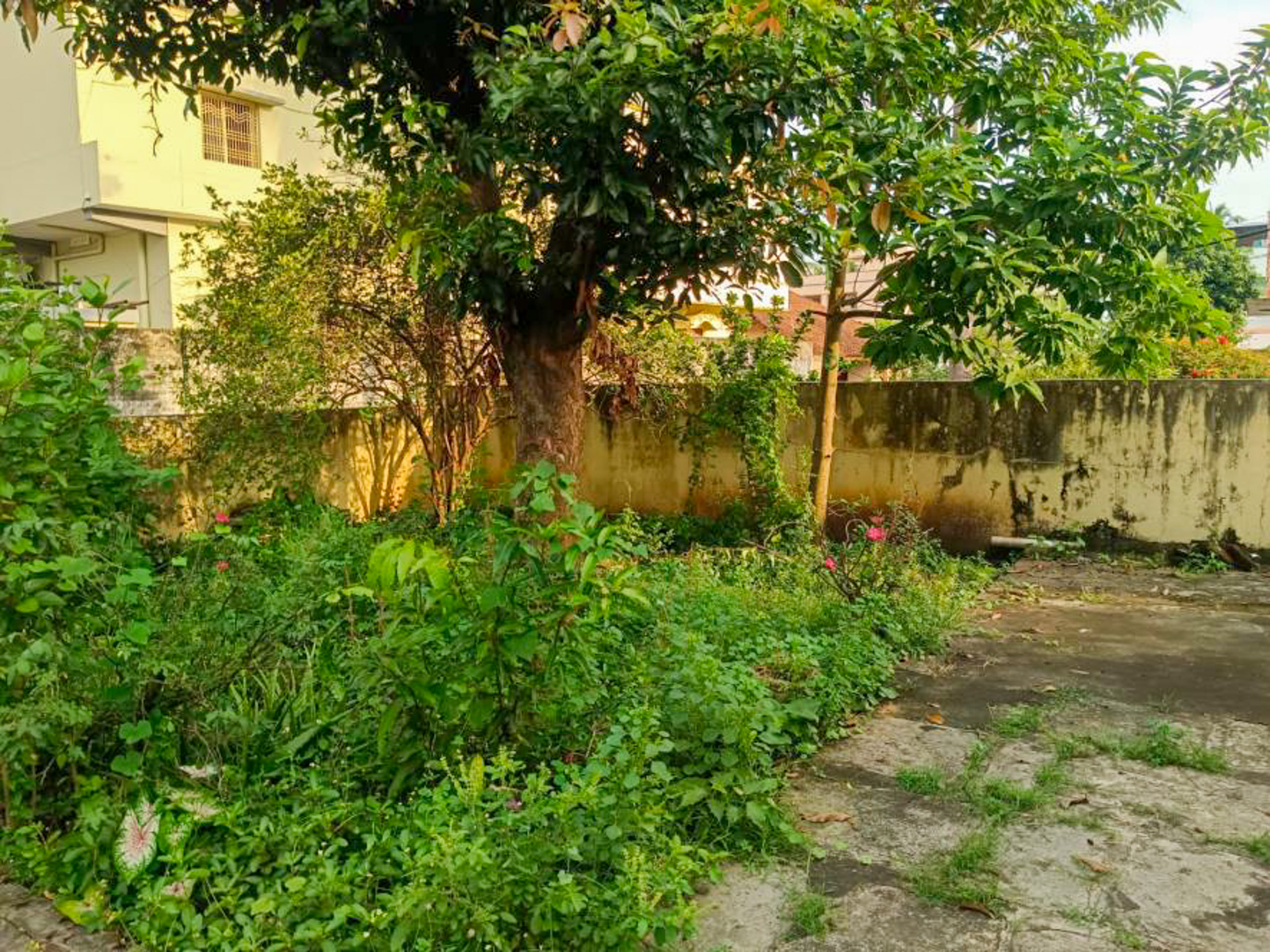 Individual House for Sale in Industrial Park Nemam