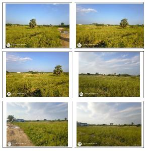 Plot for Sale in Vilangadupakka RED HILLS, Chennai