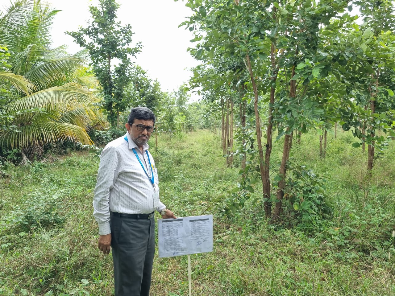 Plot for Sale in Yadagirigutta