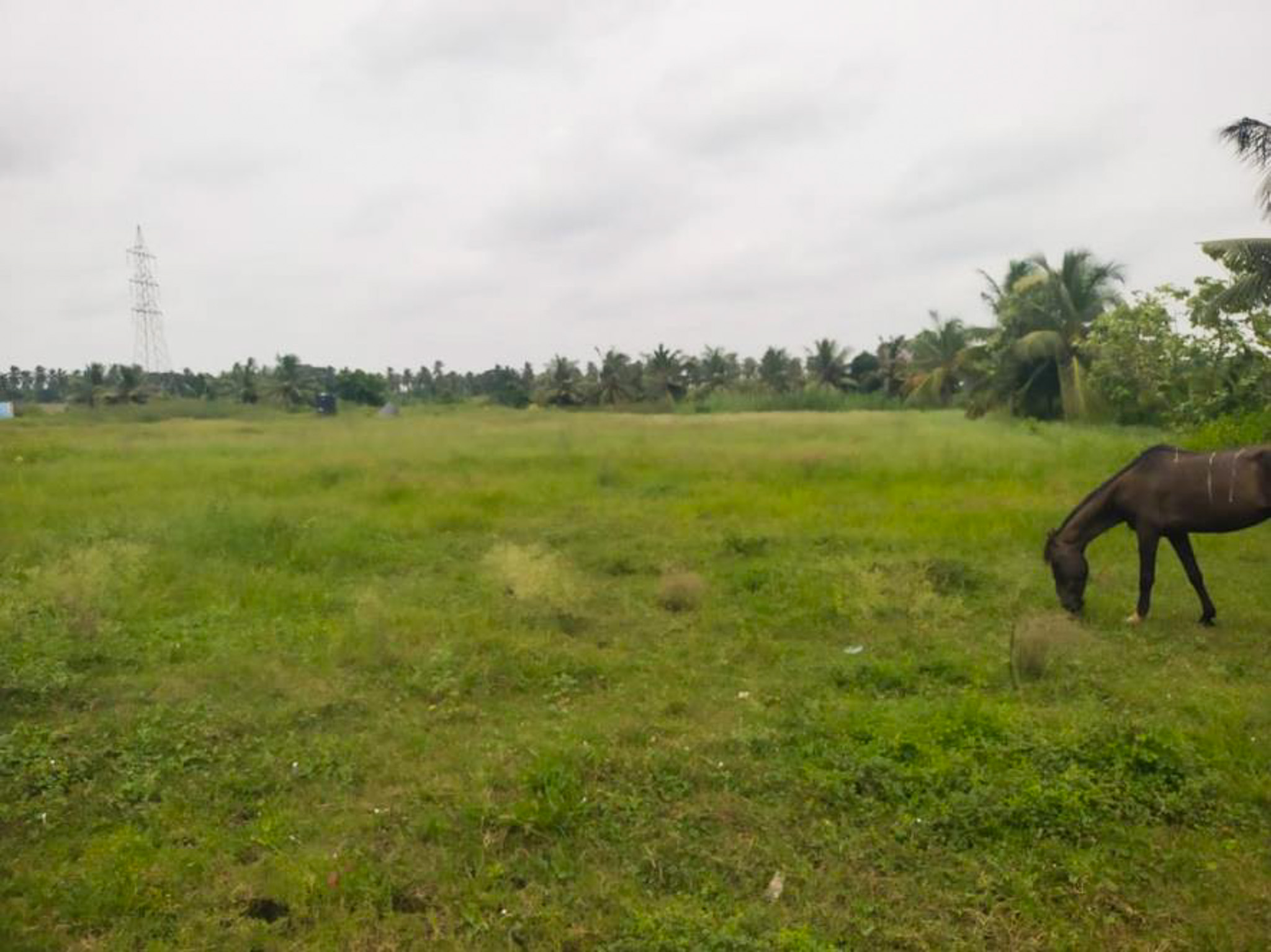 Individual House for Sale in Eluru
