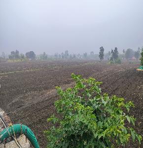 Plot for Sale in Berasia