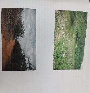 Plot for Sale in VIDYA NAGAR HYDERABAD, Hyderabad