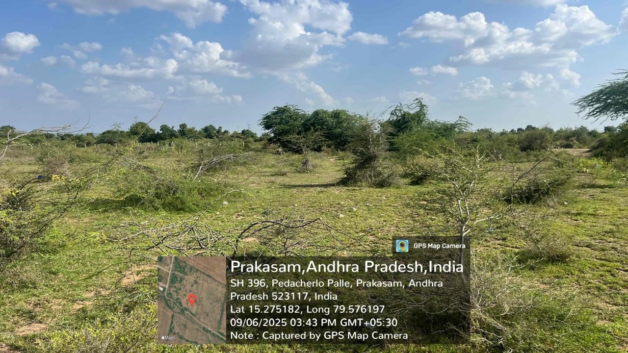 Plot for Sale in Mulaguntapadu