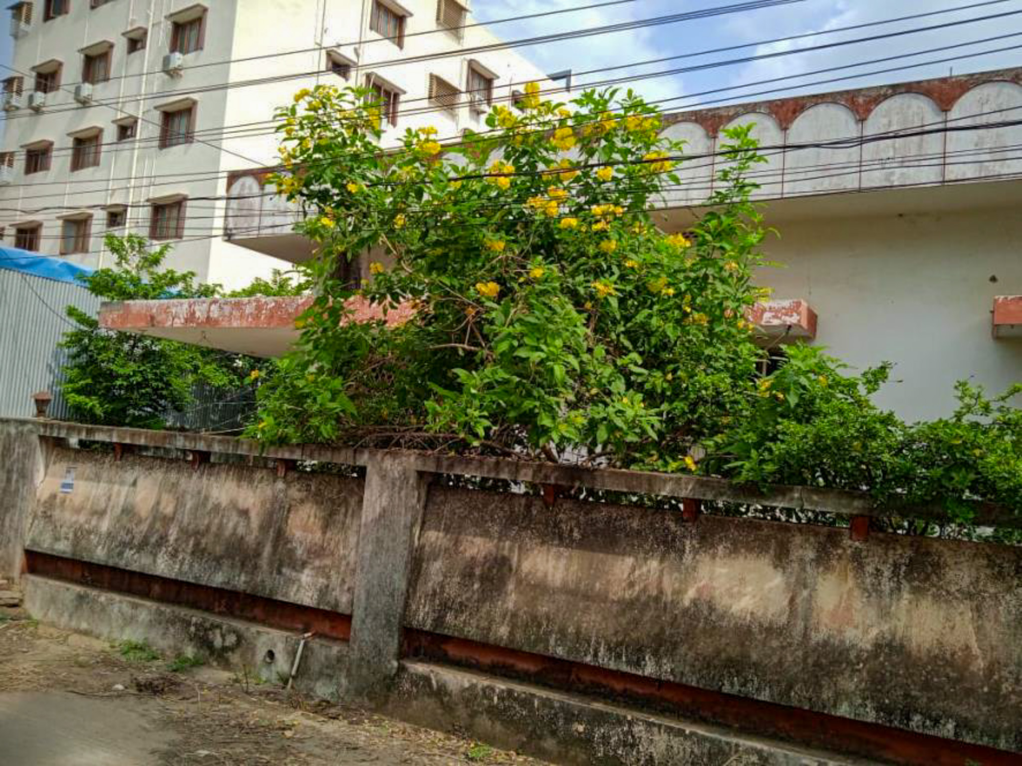 Individual House for Sale in Bhimavaram