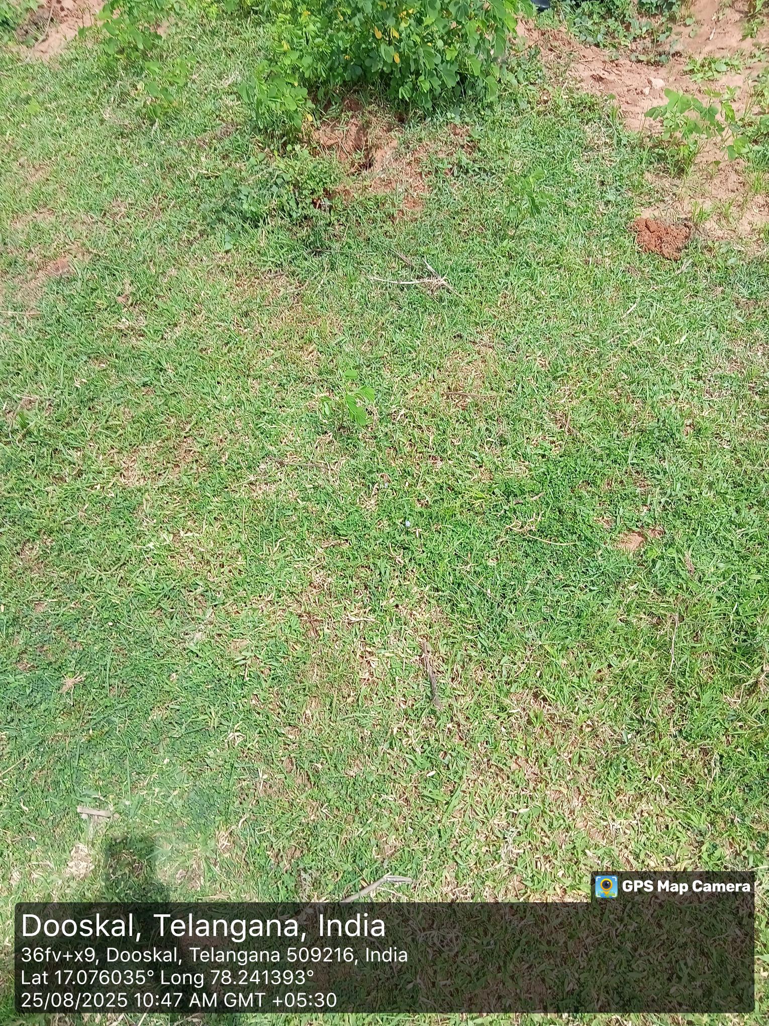 Un-demarcated Open Dry Lands for Sale in Ranga Reddy District, Farooqnagar