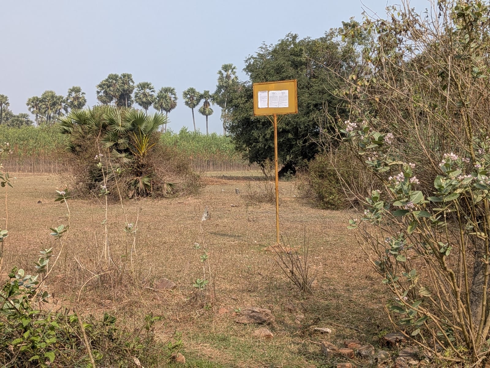 Plot for Sale in NA, Narayasayyapeta Grama Panchayati Limits, Chodavaram Mandal, Chodavaram