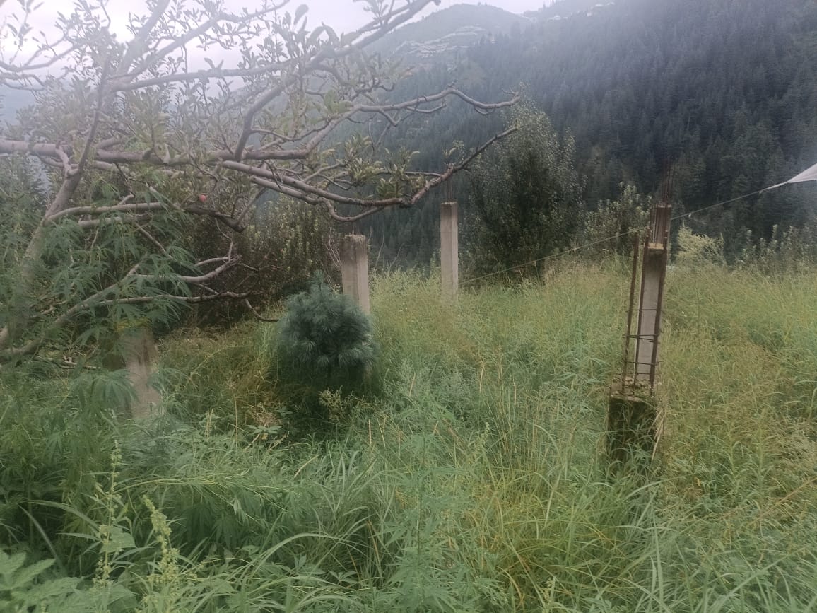 Plot for Sale in VILLAGE SEHDOLI, Kotkhai