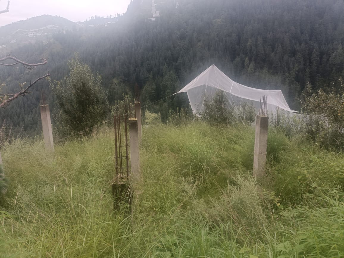 Plot for Sale in VILLAGE SEHDOLI, Kotkhai