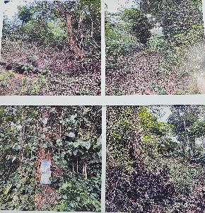 COFFEE LAND for Sale in Virajpete