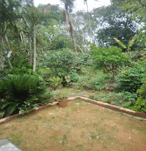 COFFEE ESTATE for Sale in Virajpete